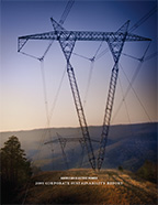 2009 Corporate Sustainability Report